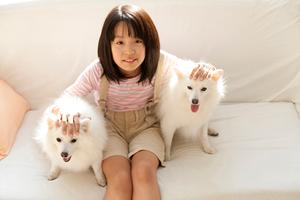 豆柴の子犬を飼いたいと思っている方へ