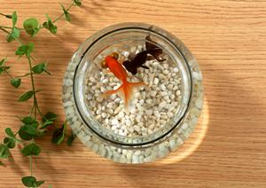 ペットのことなら杉並区の動物病院へ