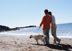 おしゃれなドッグウェアを探そう