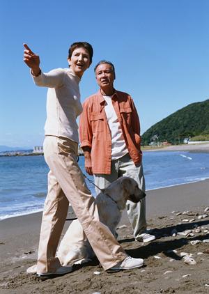 ドッグフードは国産で無添加が安心です