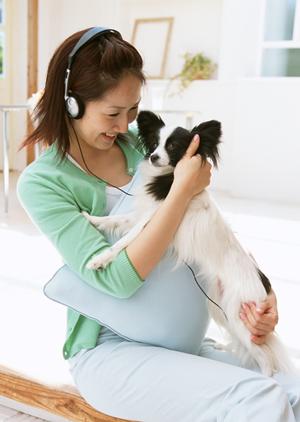 千葉県船橋市にあるペットホテルとは