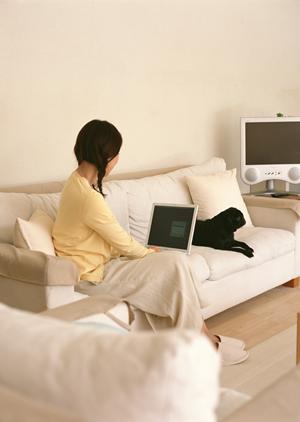 丁寧に愛犬を扱ってくれる老犬ホーム