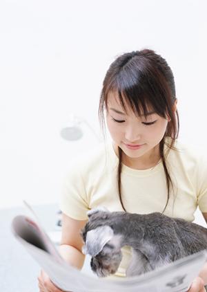 ショッピングとプードルへの自然で美しいトリミング