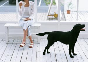 ロイヤルカナンを通販で取り扱うショップ