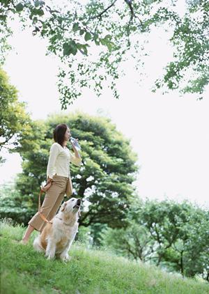 京都市で年中無休の動物病院です