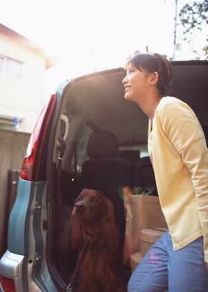 頼りにできそうな杉並区の動物病院